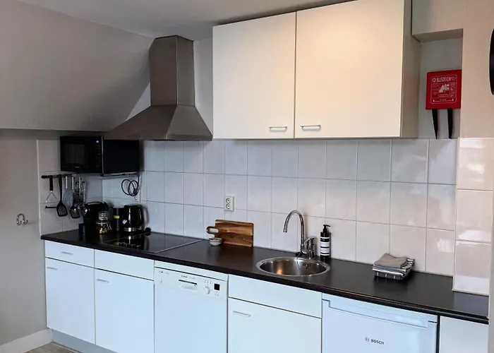 Апартаменты Le Mistral *